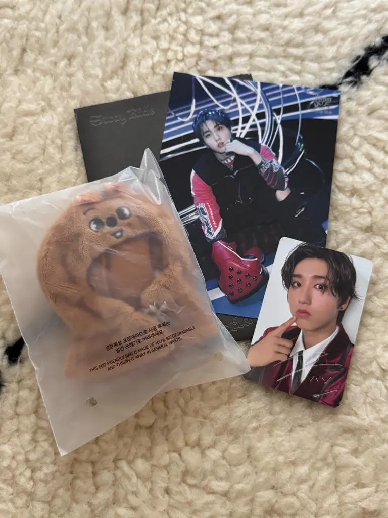 2026年最新】SKZoo クッション ハンの人気アイテム - メルカリ