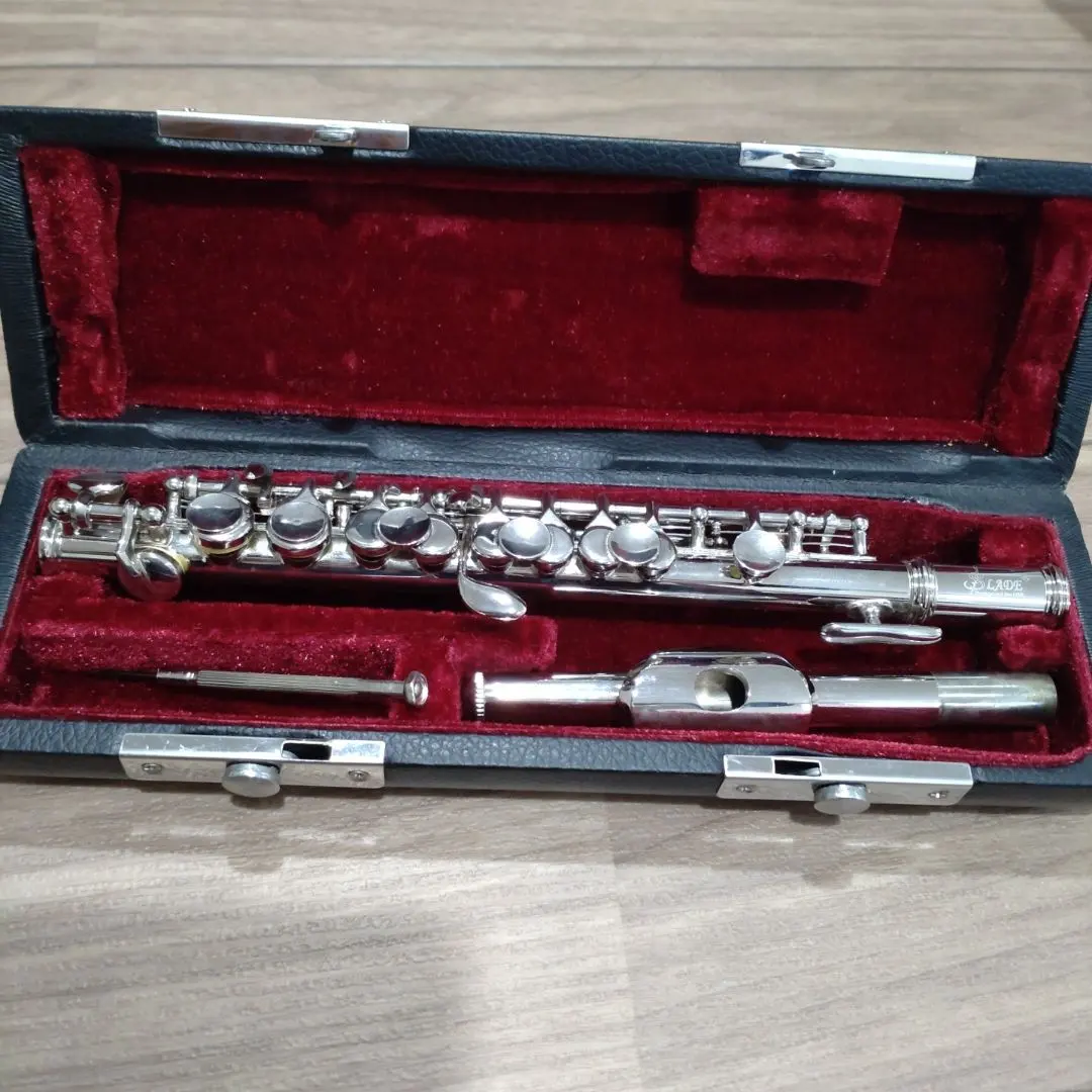 2026年最新】SLADE フルートの人気アイテム - メルカリ