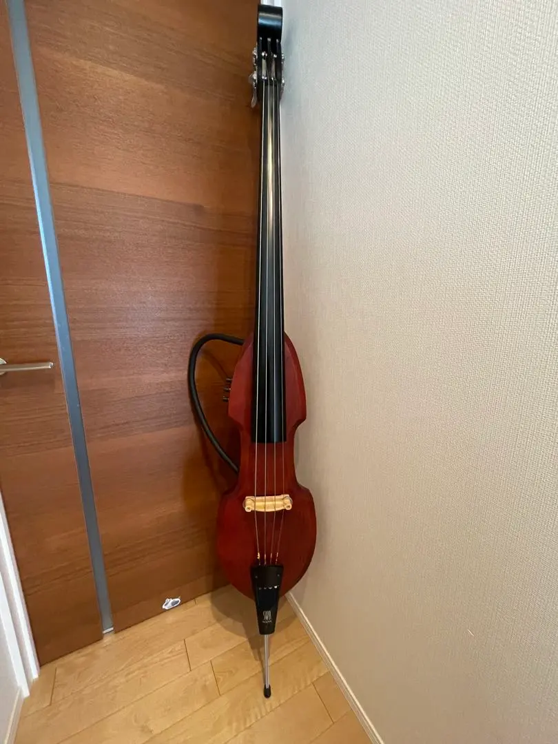 2026年最新】コントラバス ピックアップの人気アイテム - メルカリ