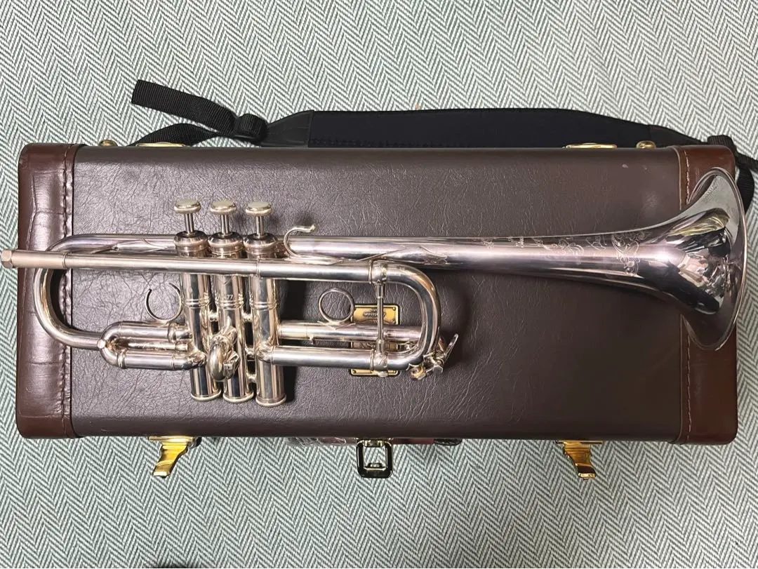 2026年最新】BACH トランペット アルティザンの人気アイテム - メルカリ