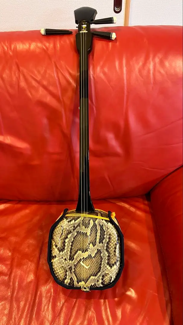 2026年最新】奄美三味線の人気アイテム - メルカリ