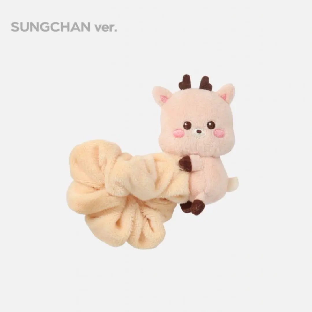 2026年最新】riize ソンチャン シュシュの人気アイテム - メルカリ