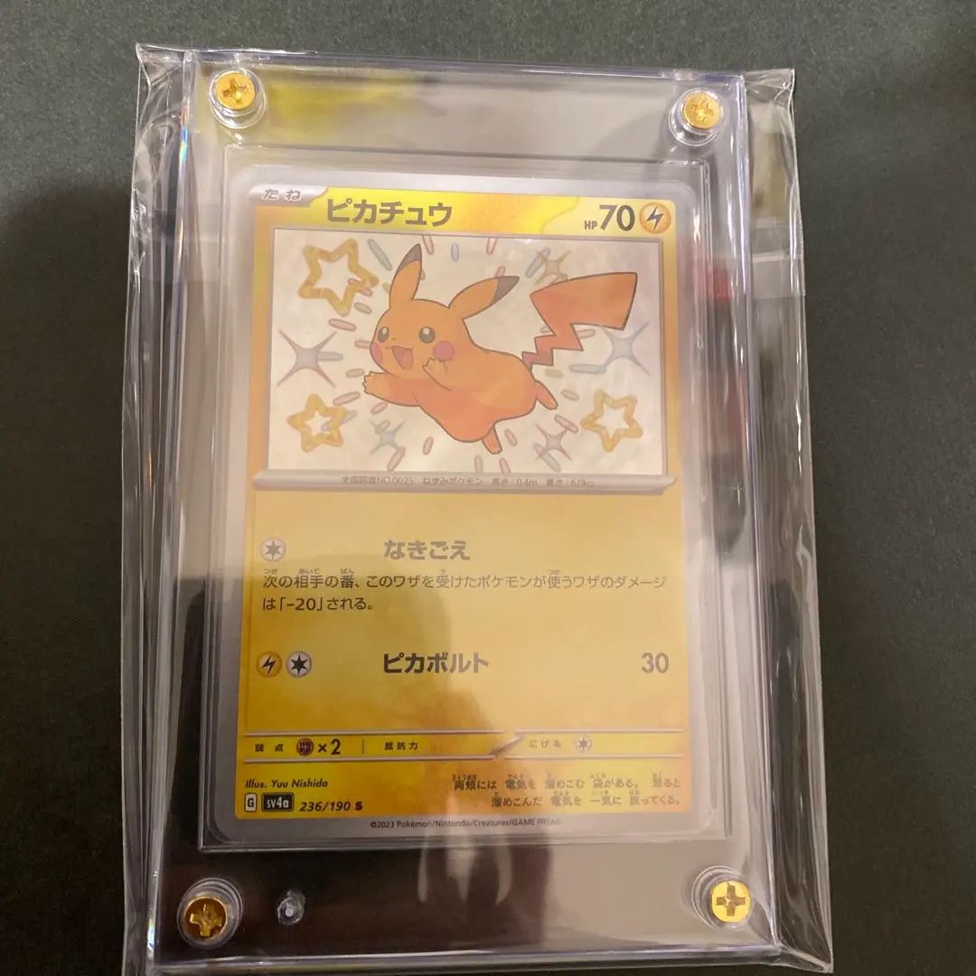 2026年最新】カイリュー マスターボール psa10の人気アイテム - メルカリ