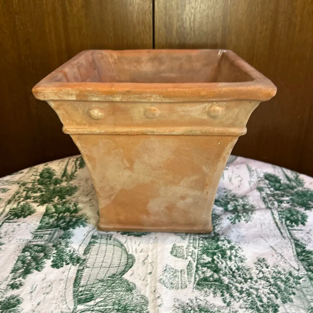 2026年最新】ワンダーデコール 鉢の人気アイテム - メルカリ