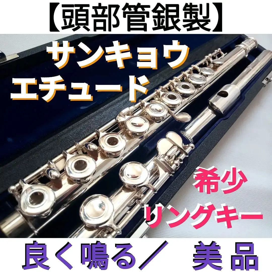 2026年最新】サンキョウフルートの人気アイテム - メルカリ