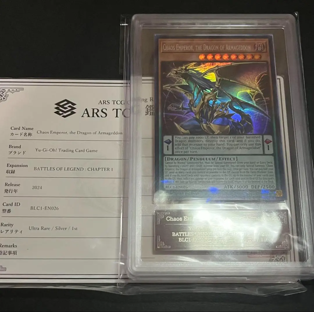 2026年最新】カオスエンペラードラゴン psa10の人気アイテム - メルカリ