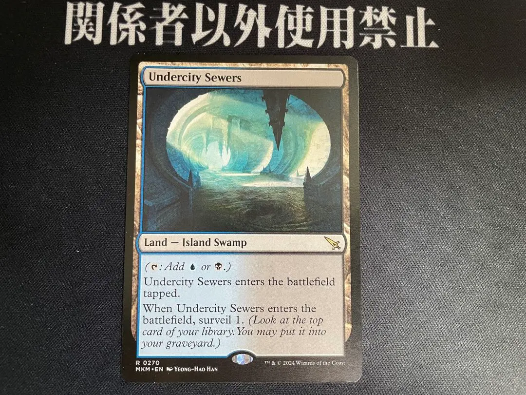 2026年最新】地底街の下水道の人気アイテム - メルカリ