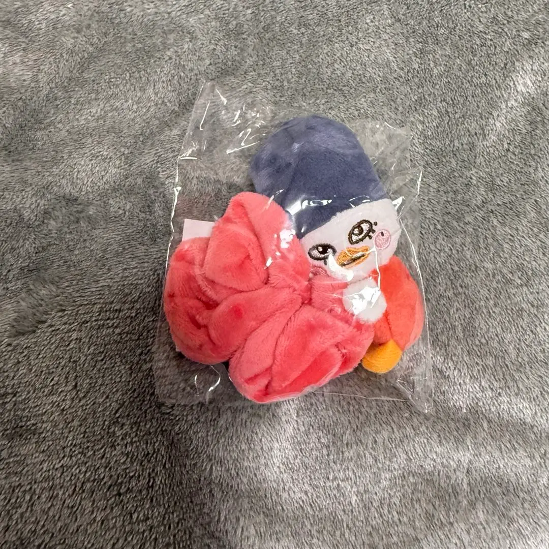 2026年最新】rIize ソヒ シュシュの人気アイテム - メルカリ