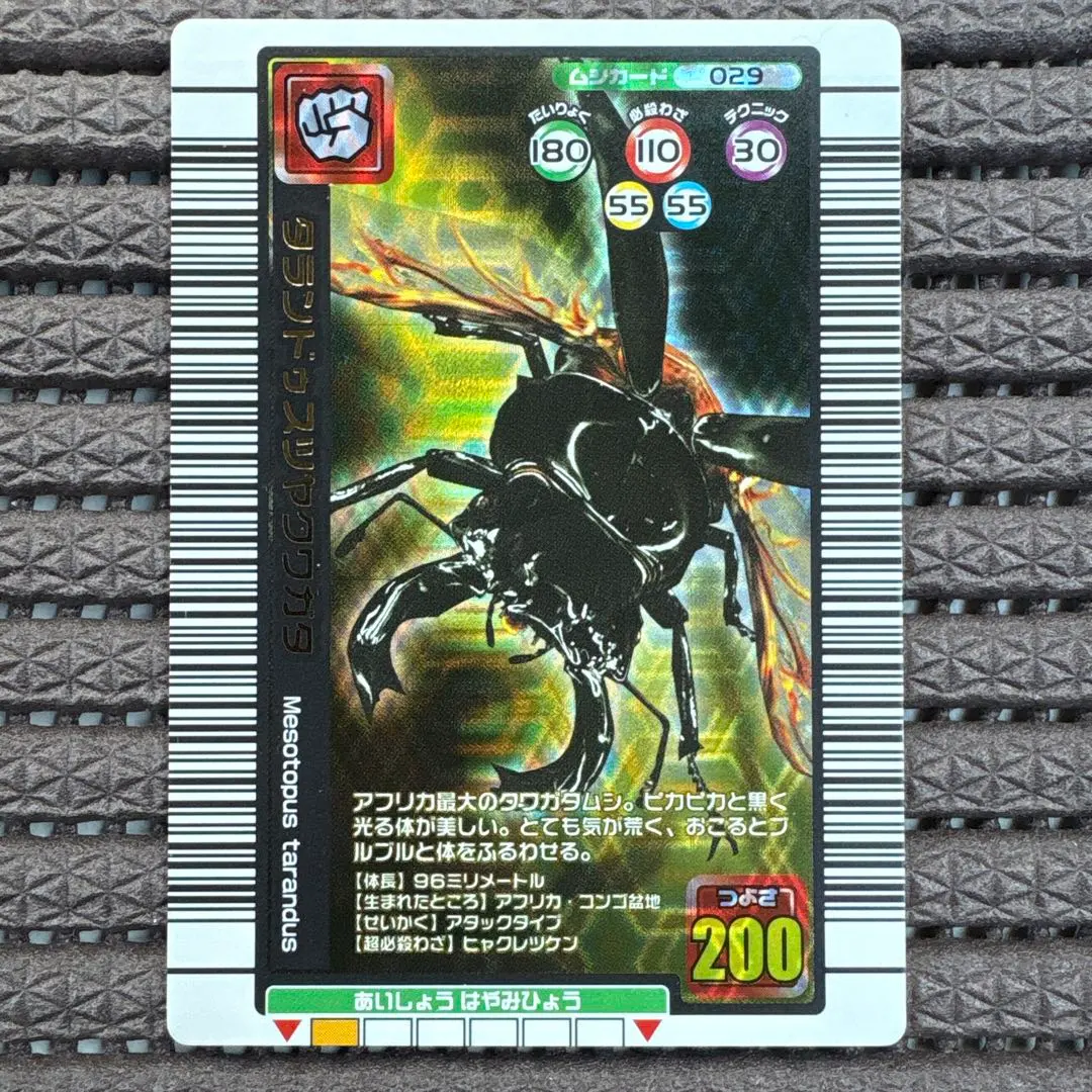 2026年最新】タランドゥスツヤクワガタ 2005の人気アイテム - メルカリ