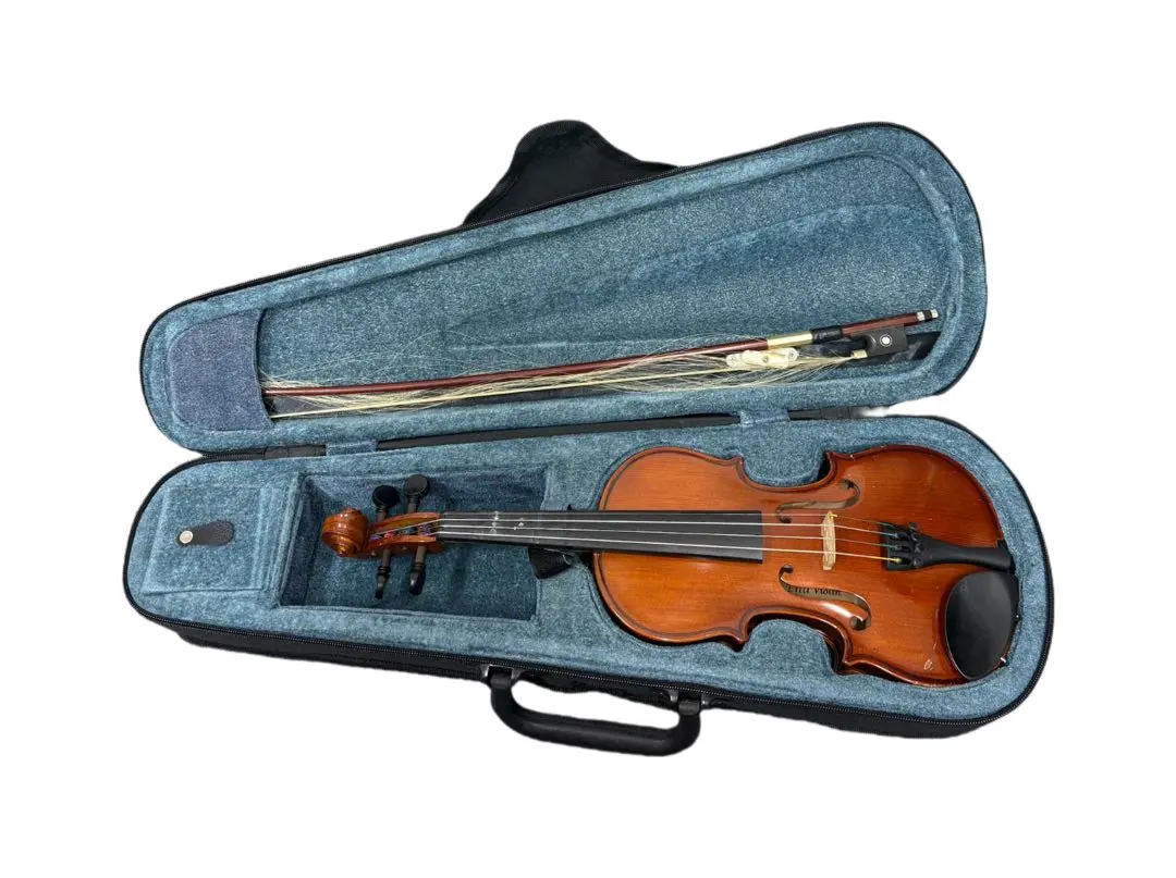 2026年最新】恵那バイオリンの人気アイテム - メルカリ