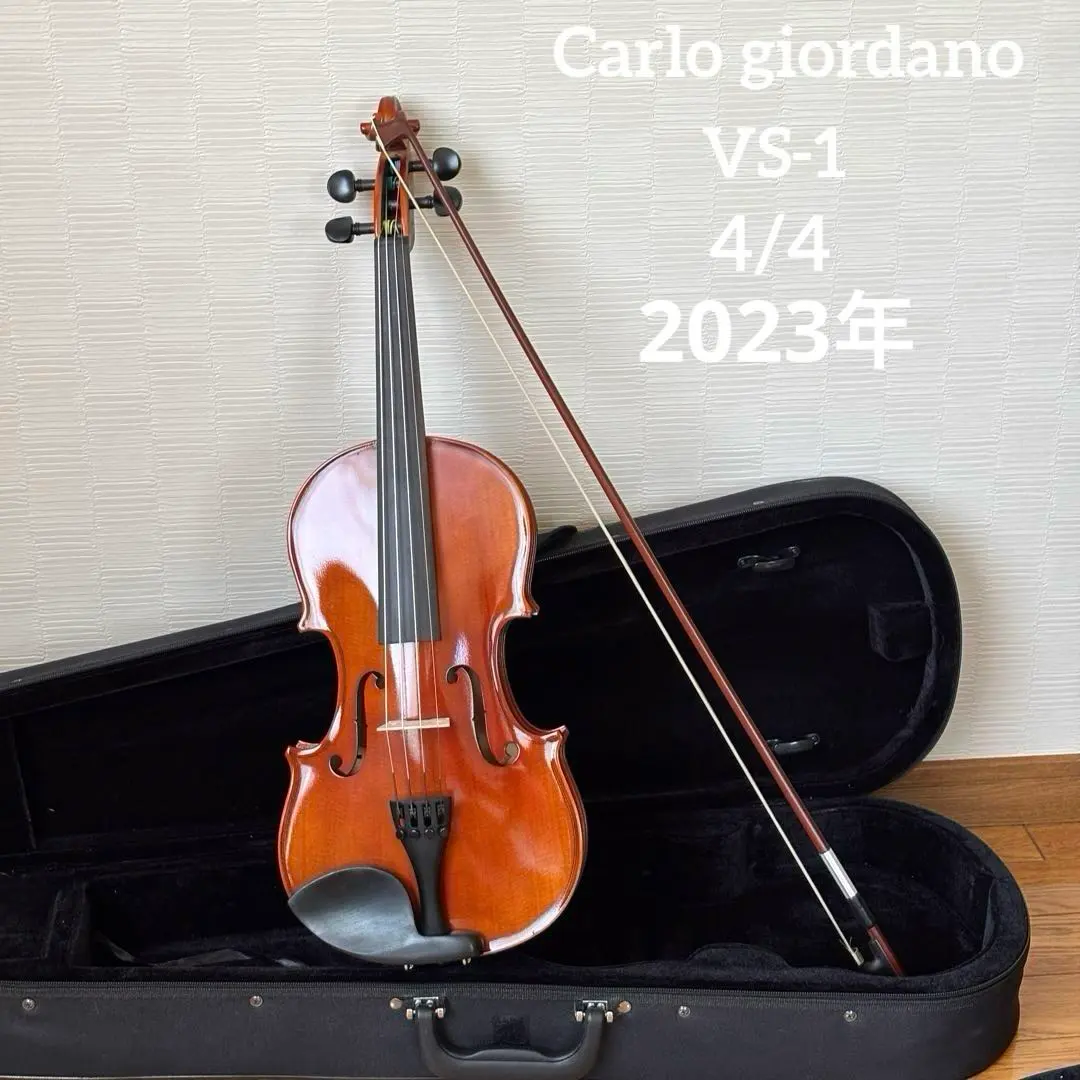 2026年最新】カルロジョルダーノ vs-2の人気アイテム - メルカリ