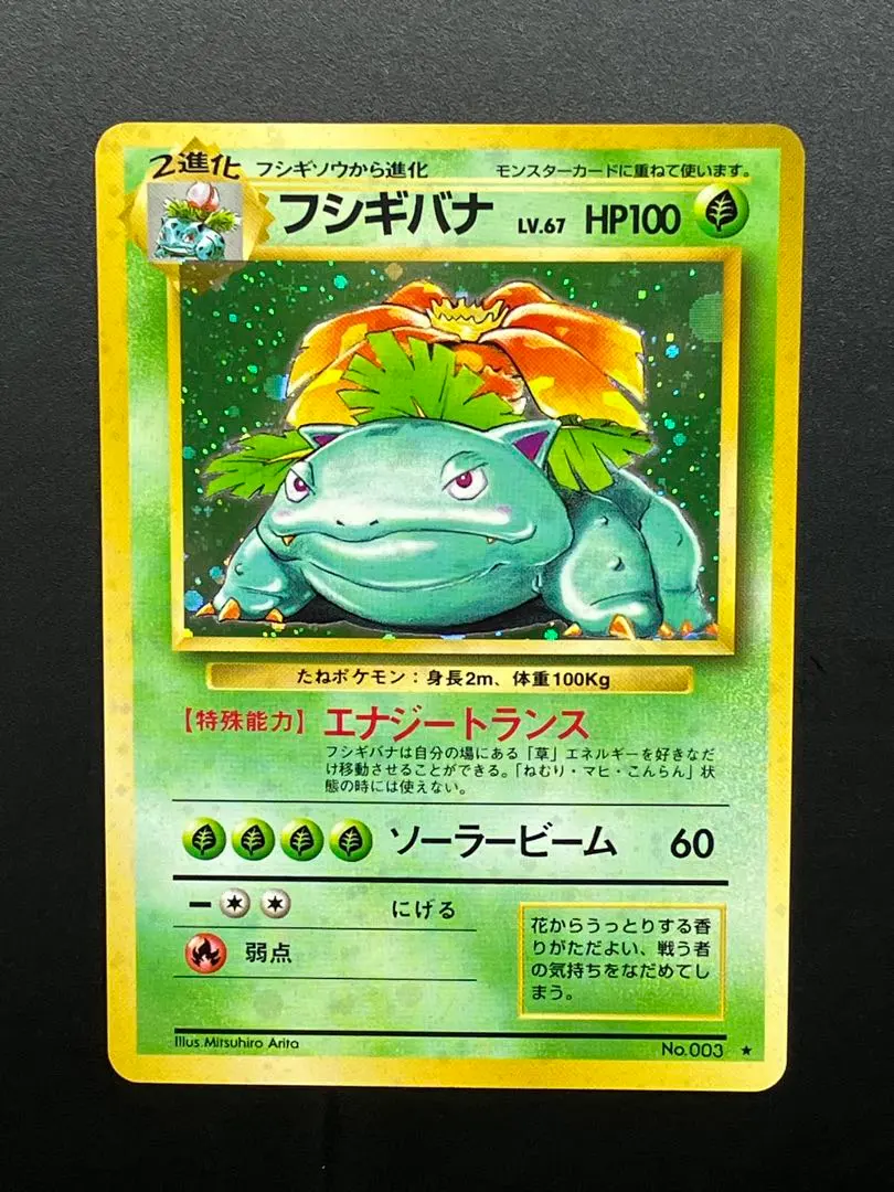 かえんリザードンLV76フシギバナLV67 旧裏全面微ホロ2枚セット