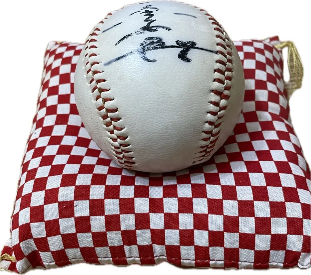 アルナ車両 阪急 腰掛モケット生地 座布団 クッション