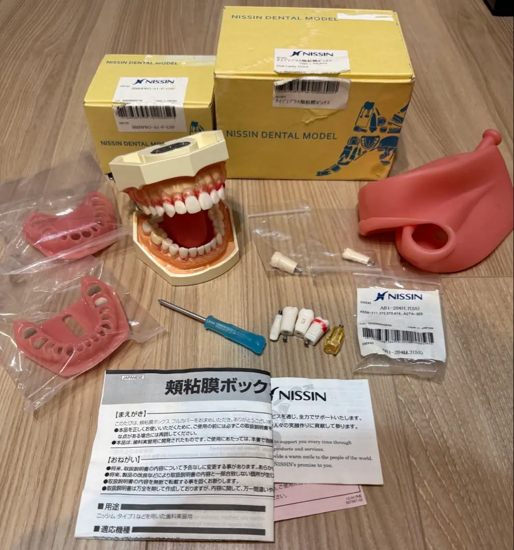 2026年最新】顎模型 ニッシンの人気アイテム - メルカリ