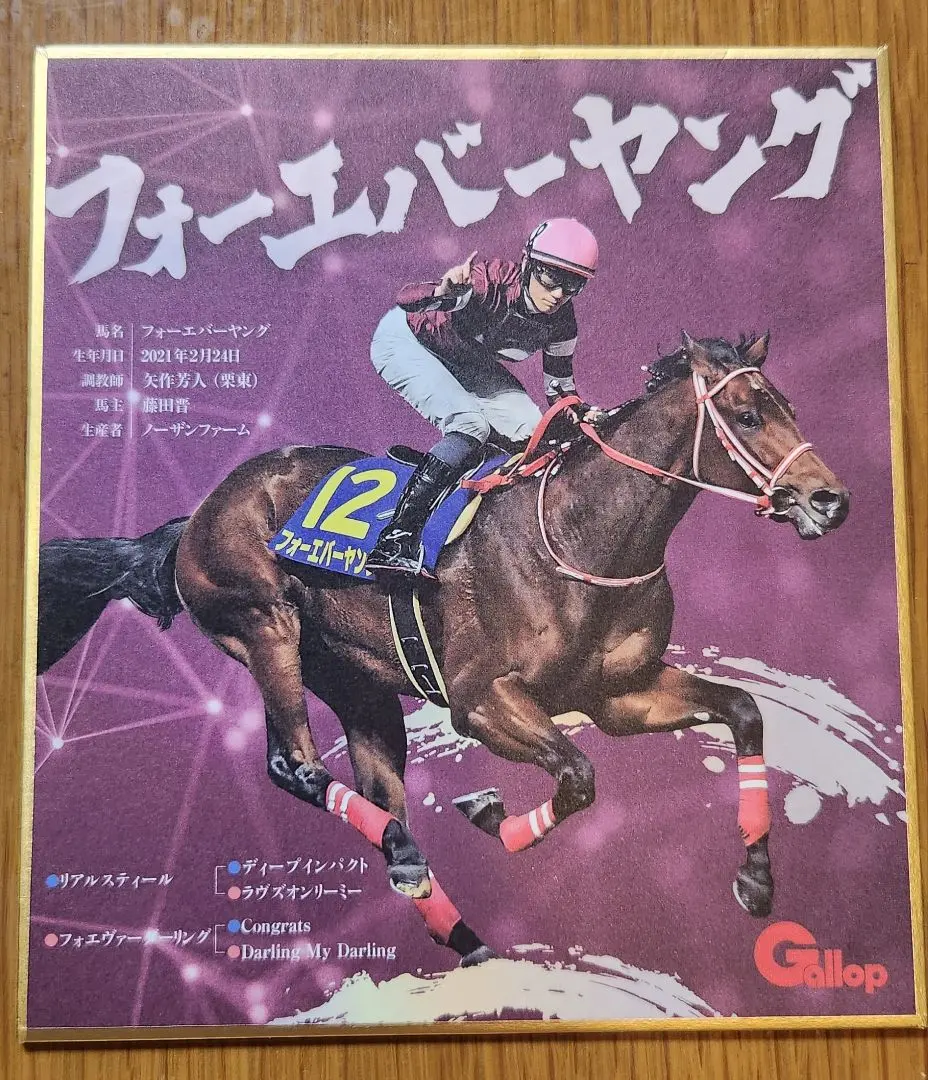 2026年最新】フォーエバーヤング 色紙の人気アイテム - メルカリ