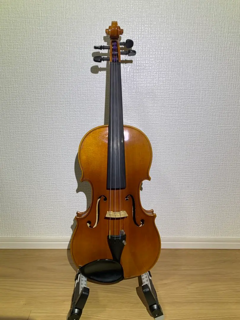 2026年最新】カールヘフナー バイオリンの人気アイテム - メルカリ
