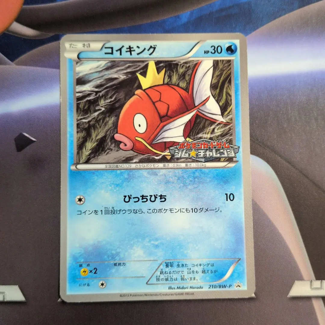 2026年最新】210/BW-P コイキングの人気アイテム - メルカリ