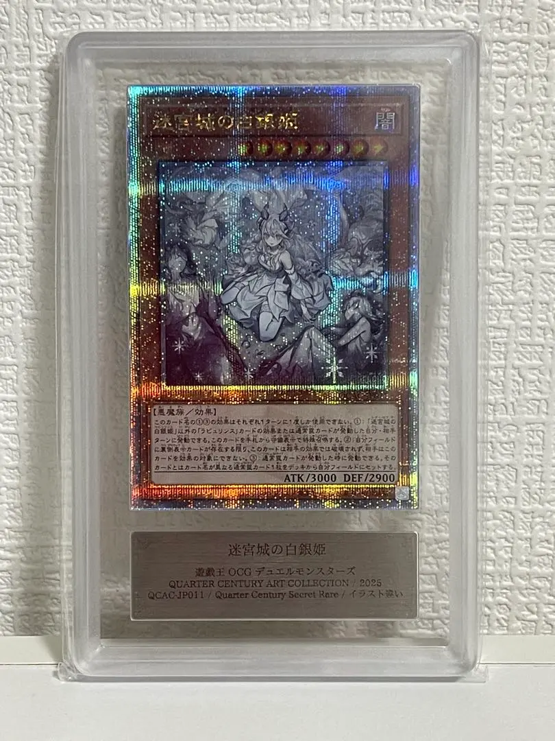 2026年最新】迷宮城の白銀姫 25th arsの人気アイテム - メルカリ