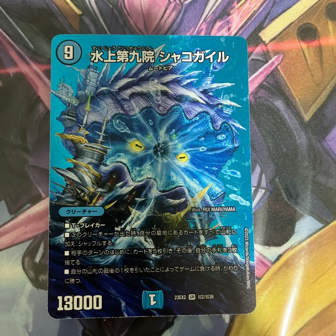 2026年最新】シャコガイル シクの人気アイテム - メルカリ