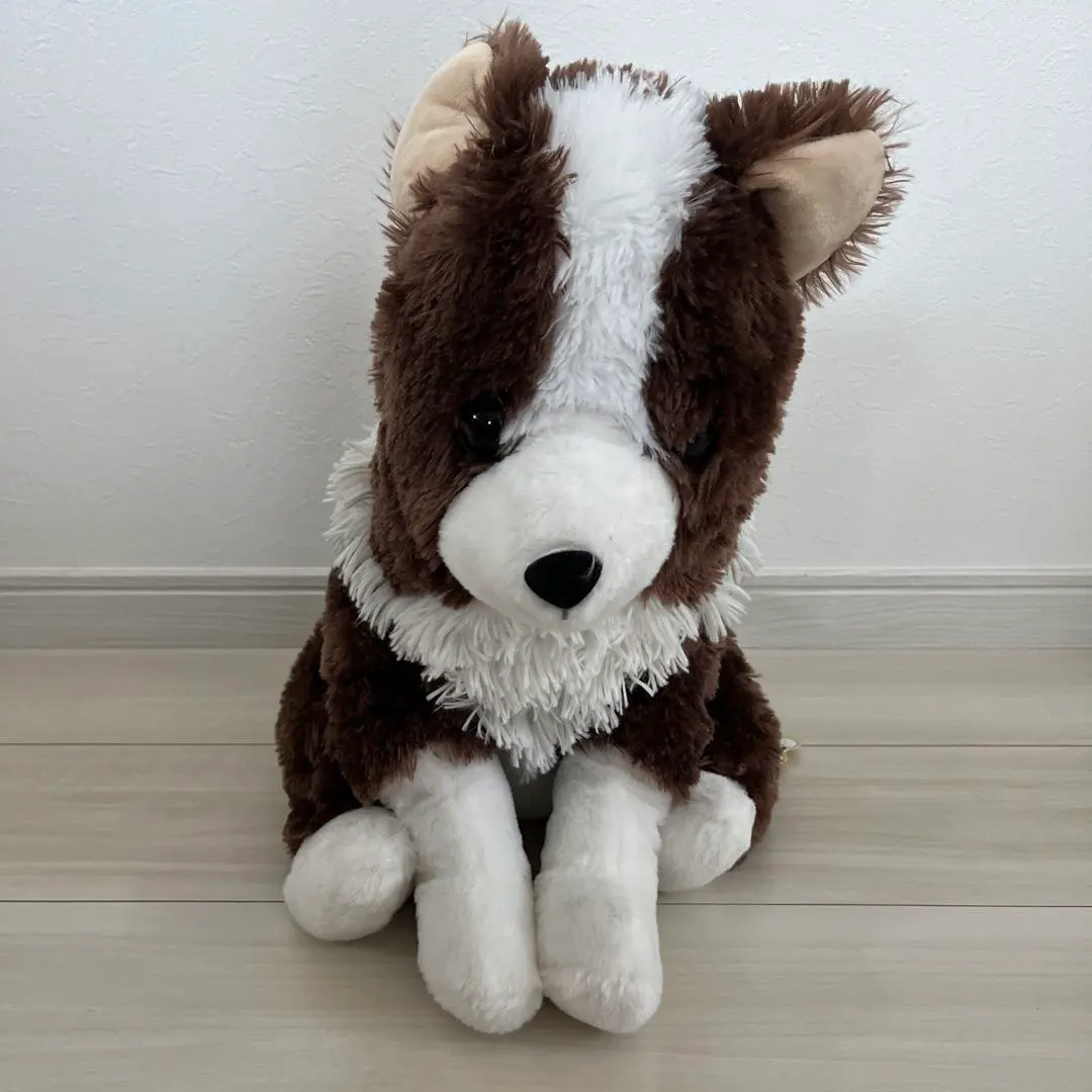 2026年最新】くったりボーダーコリーの人気アイテム - メルカリ