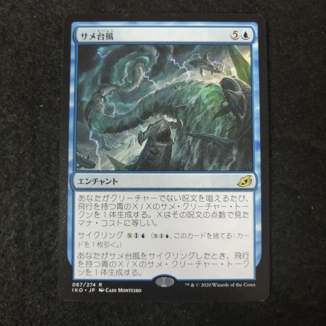 2026年最新】サメ台風の人気アイテム - メルカリ