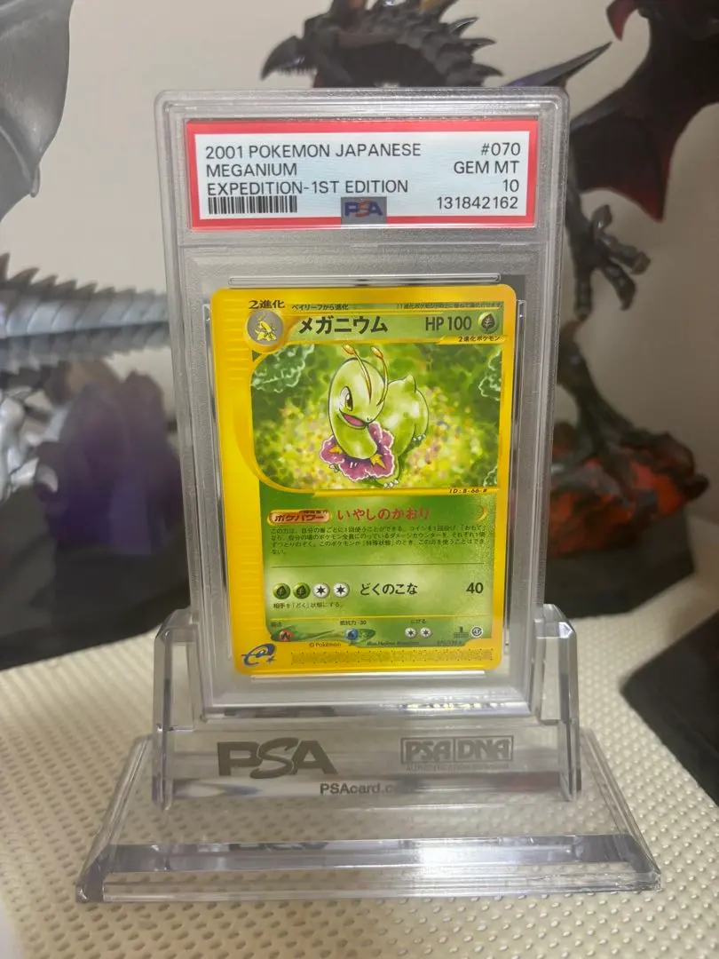 2026年最新】メガニウム psa10の人気アイテム - メルカリ