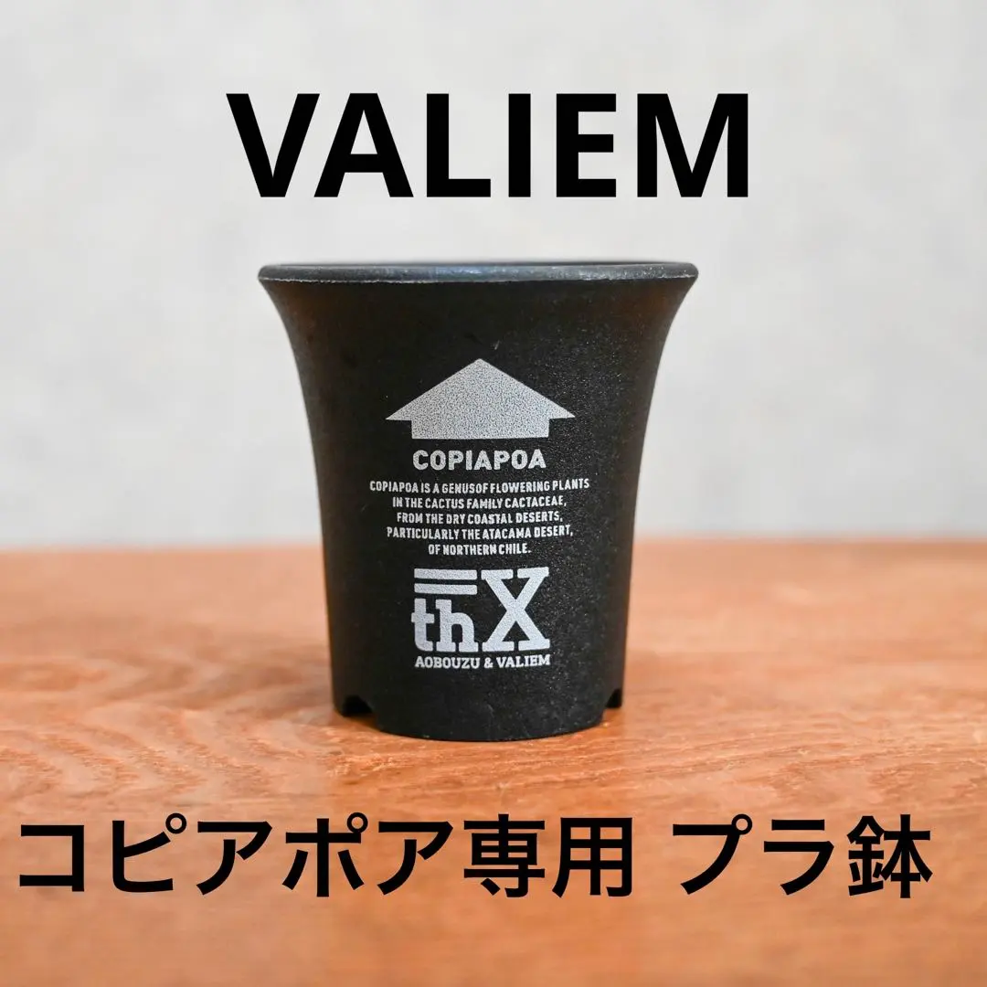 2026年最新】VALIEM 青坊主の人気アイテム - メルカリ