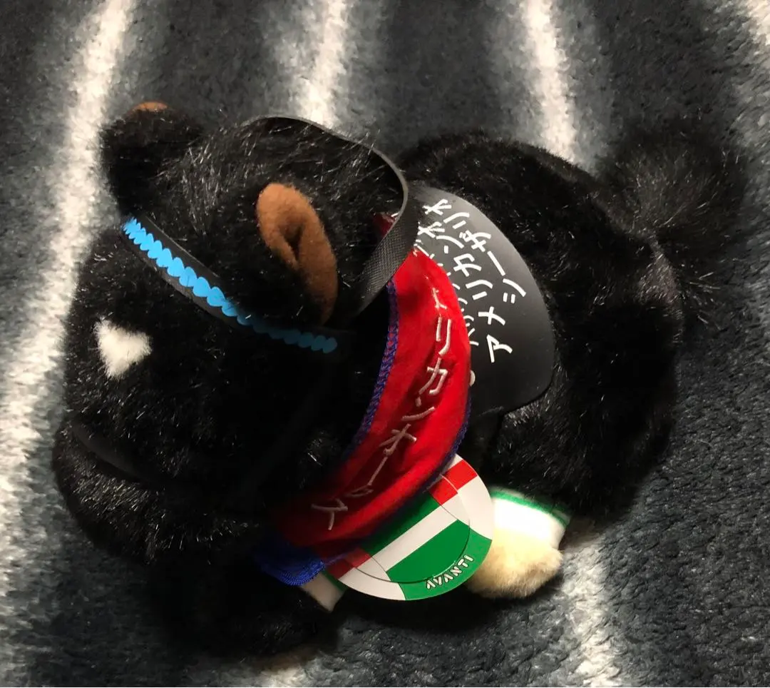 2026年最新】シーザリオ ぬいぐるみの人気アイテム - メルカリ