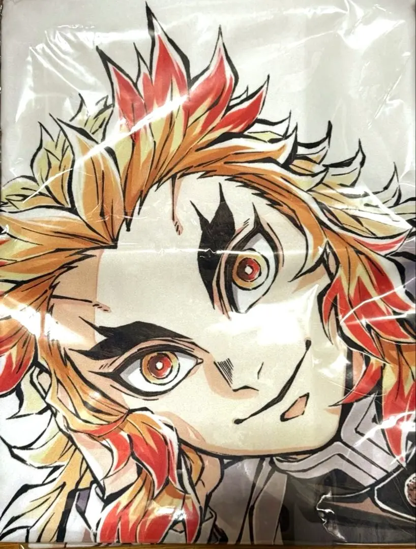 2026年最新】等身大寝そべり布ポスターの人気アイテム - メルカリ