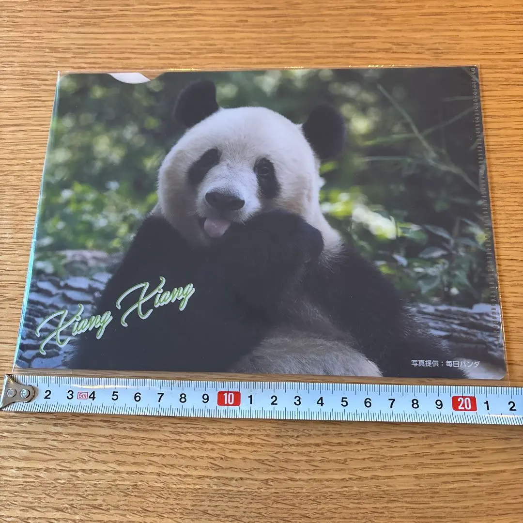 2026年最新】上野松坂屋パンダ クリアファイルの人気アイテム - メルカリ