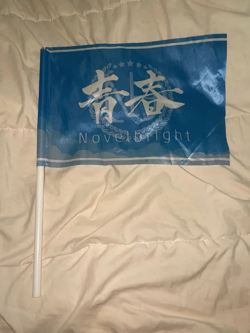 2026年最新】ノーベルブライト青春旗の人気アイテム - メルカリ