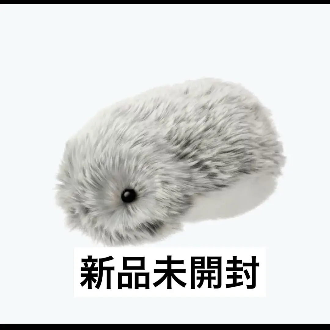 m50183927077_1.jpg?1764432293