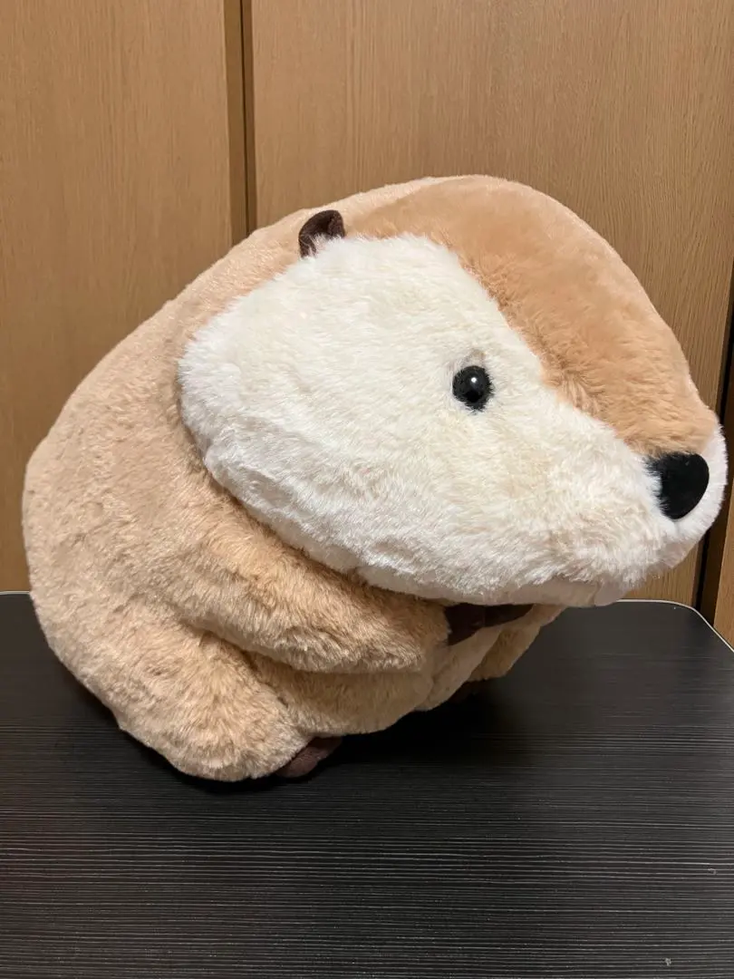 2026年最新】むっちり ビーバーの人気アイテム - メルカリ