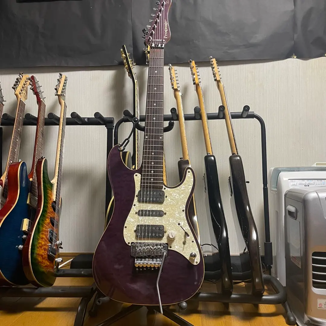 2026年最新】progauge schecterの人気アイテム - メルカリ