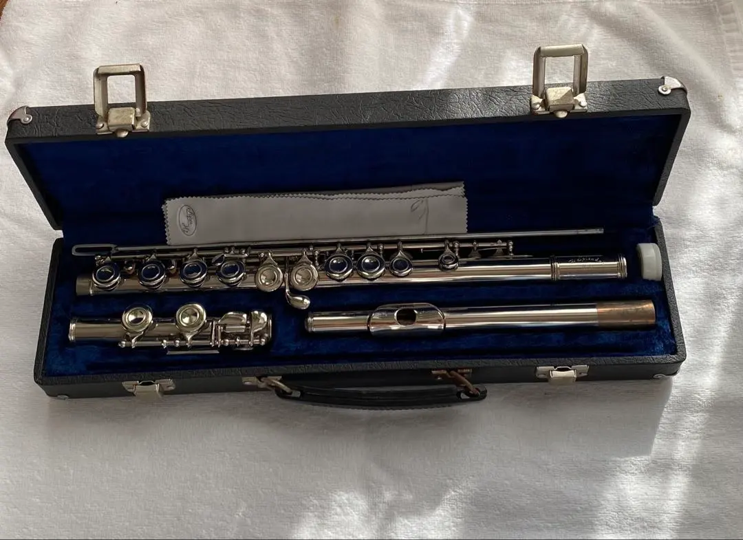 2026年最新】スプレンダー フルートの人気アイテム - メルカリ