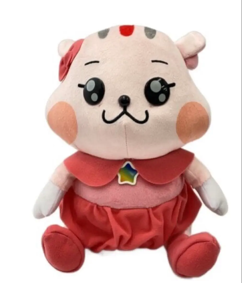 m51014208493_1.jpg?1769566746