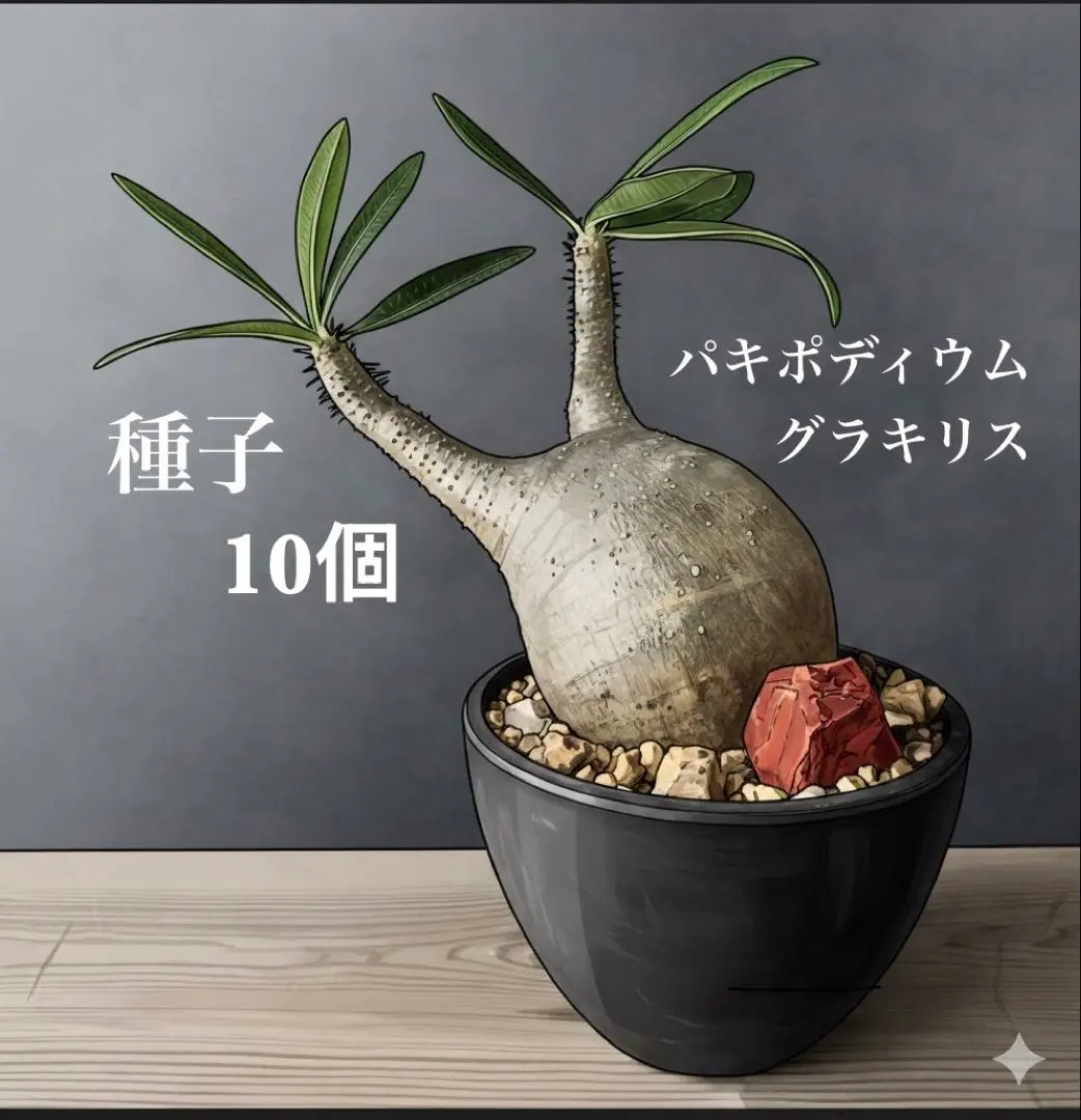 m51031630246_1.jpg?1771687666