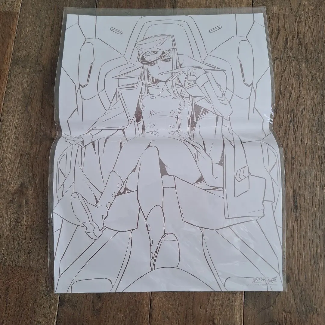 2026年最新】ダーリン・イン・ザ・フランキス クリアファイルの人気