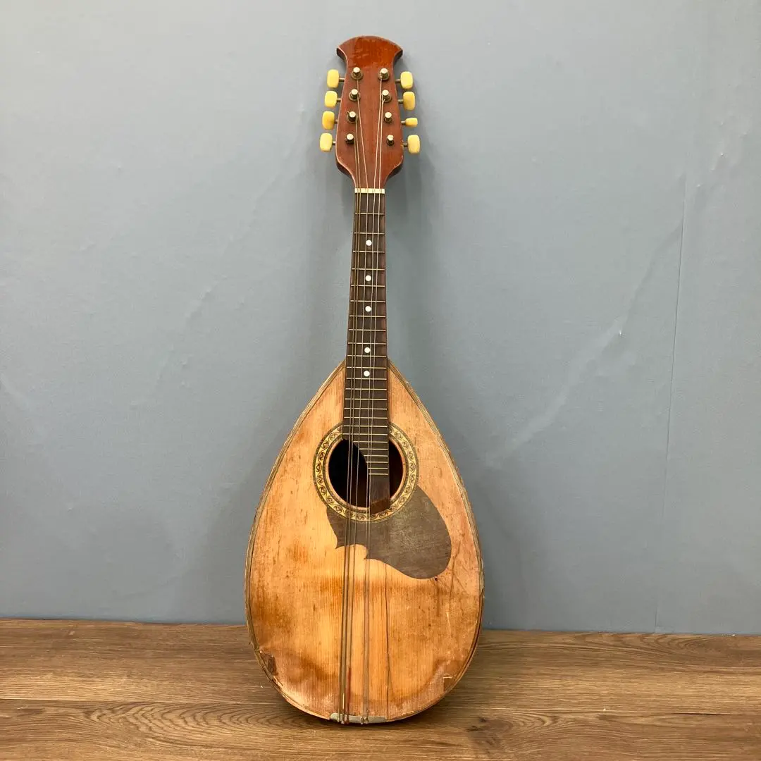 2026年最新】SUZUKI マンドリン m-210の人気アイテム - メルカリ