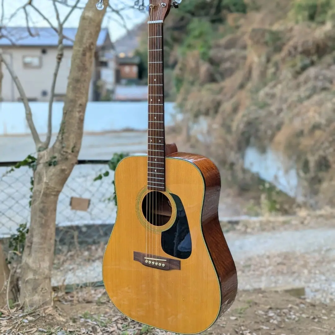 2026年最新】morris md-507の人気アイテム - メルカリ