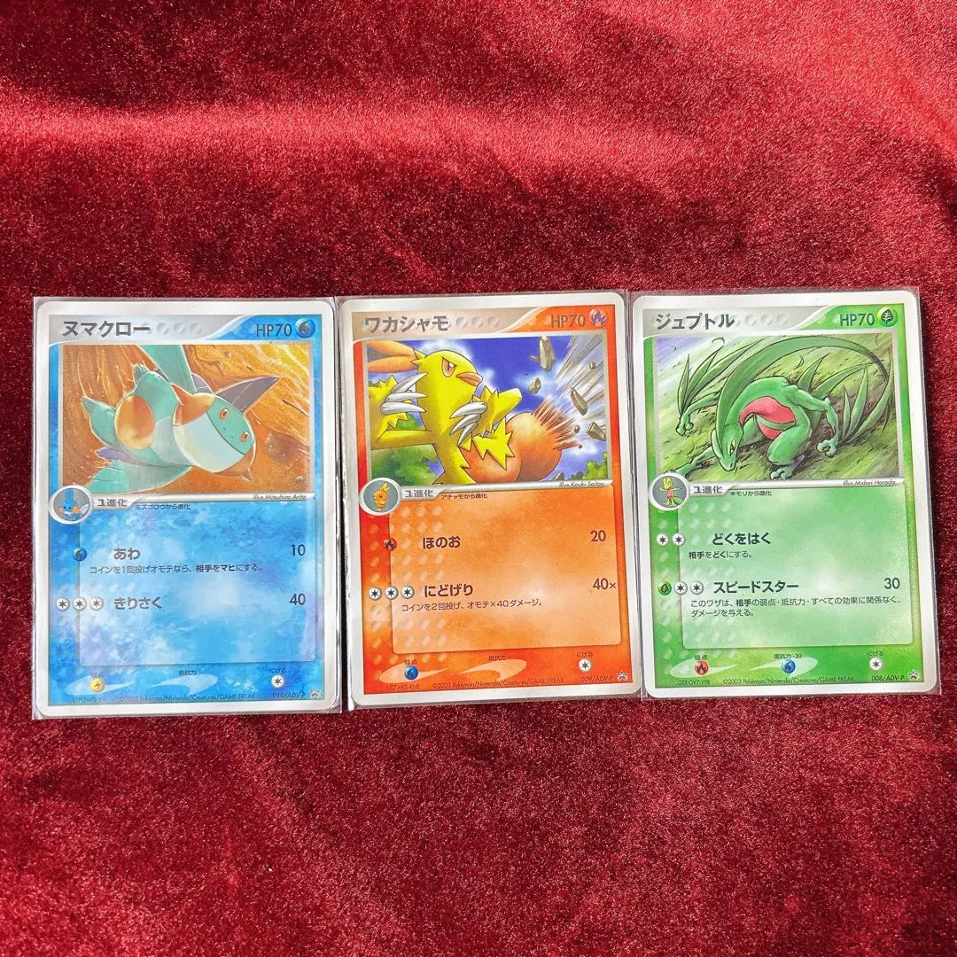 2026年最新】ポケモンカード ワカシャモ 009/ADV-P プロモの人気