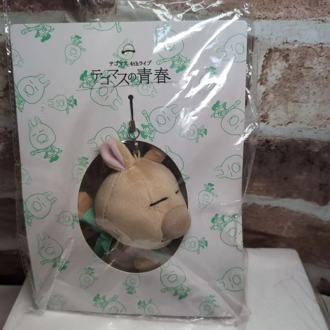 2026年最新】テゴマスぬいぐるみの人気アイテム - メルカリ