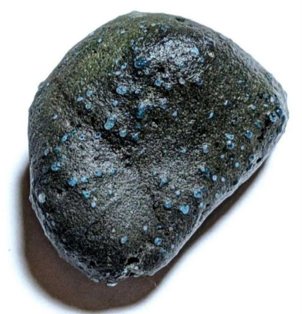 2026年最新】舎利母石の人気アイテム - メルカリ