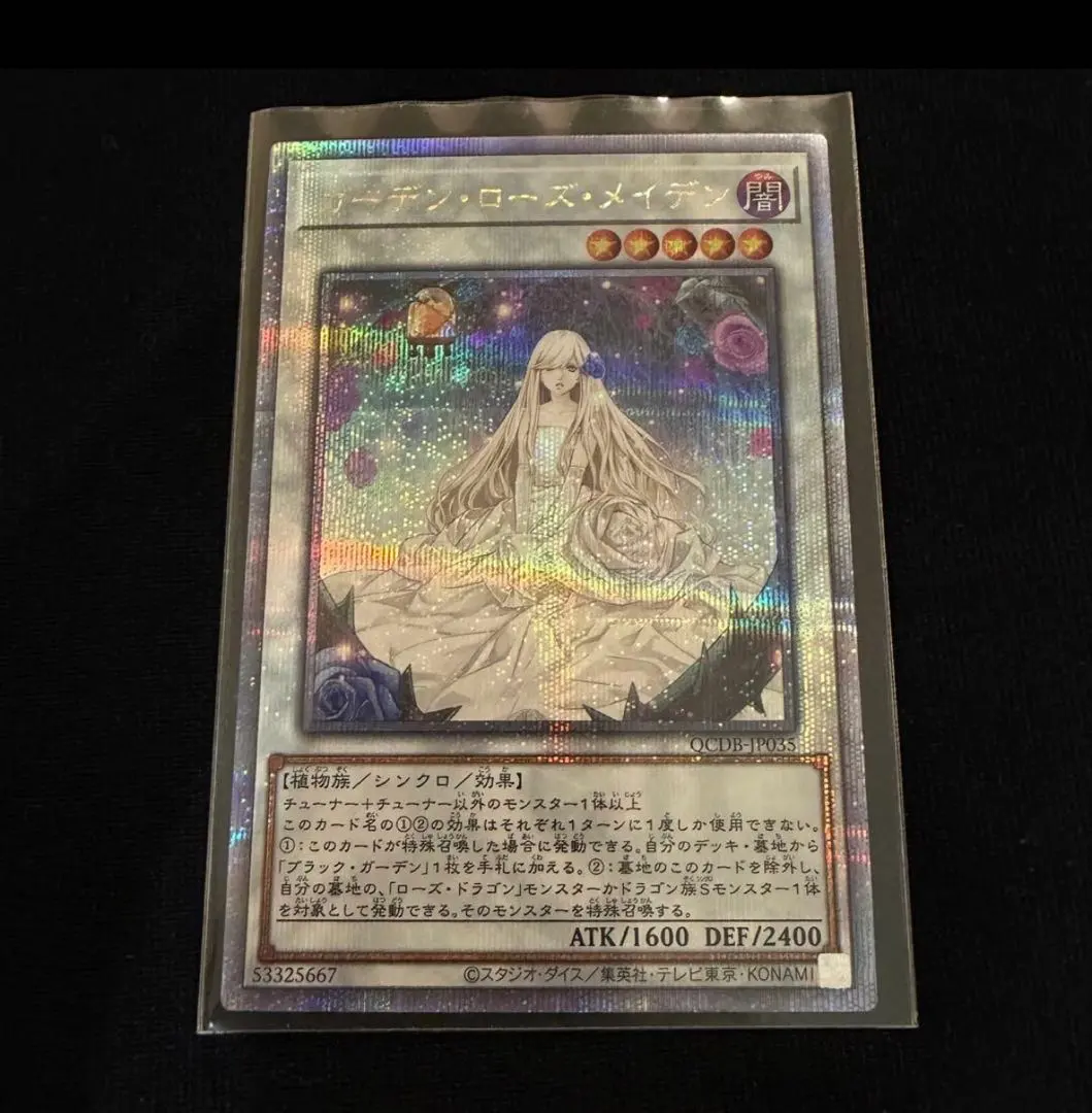 2026年最新】ガーデン・ローズ・メイデン 25thの人気アイテム - メルカリ