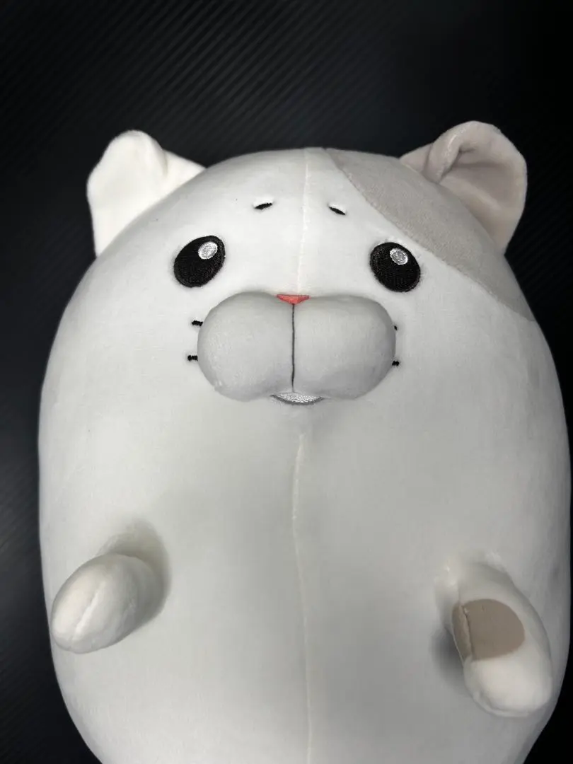 2026年最新】泣きむし猫のキィちゃん ぬいぐるみの人気アイテム - メルカリ