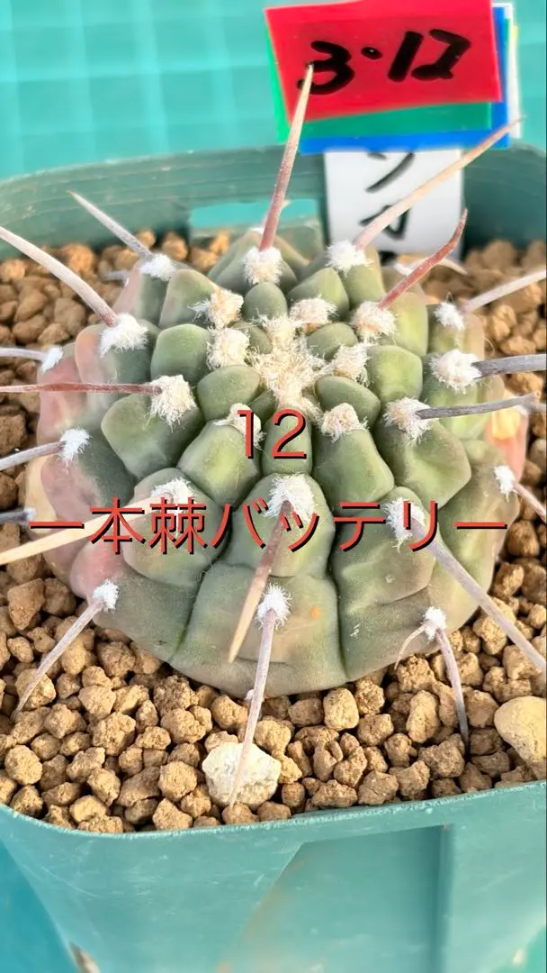 2026年最新】一本刺バッテリーの人気アイテム - メルカリ