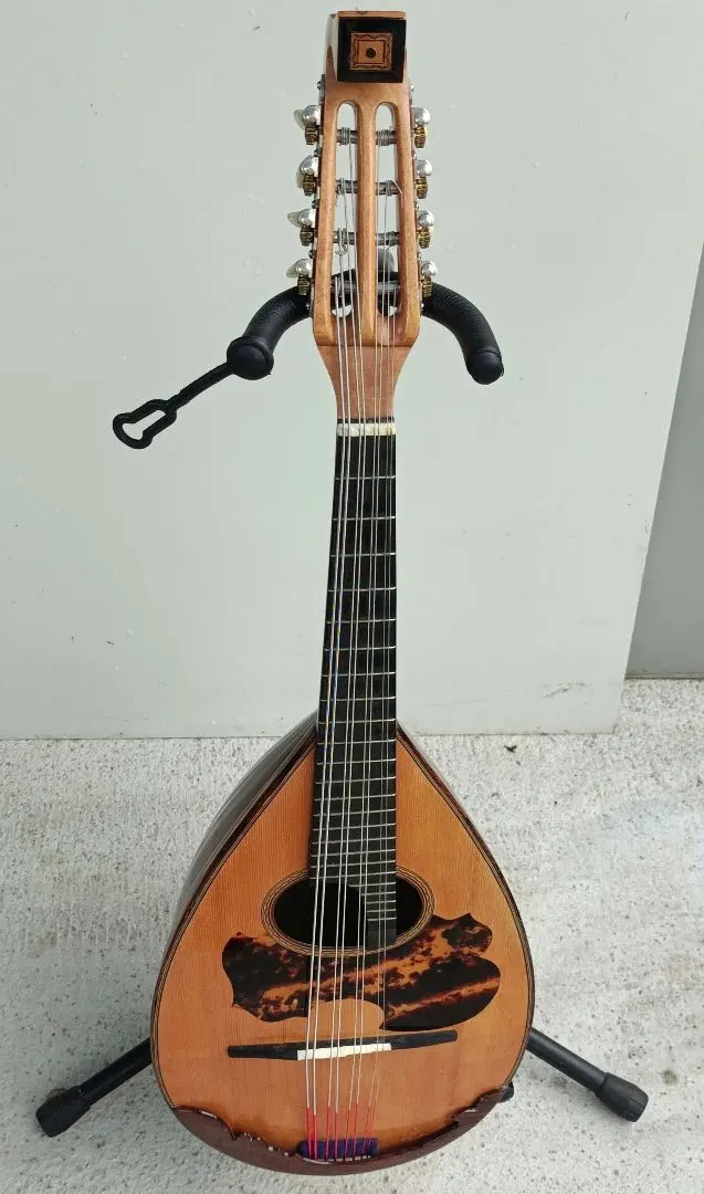 2026年最新】マンドリン s.watanabeの人気アイテム - メルカリ