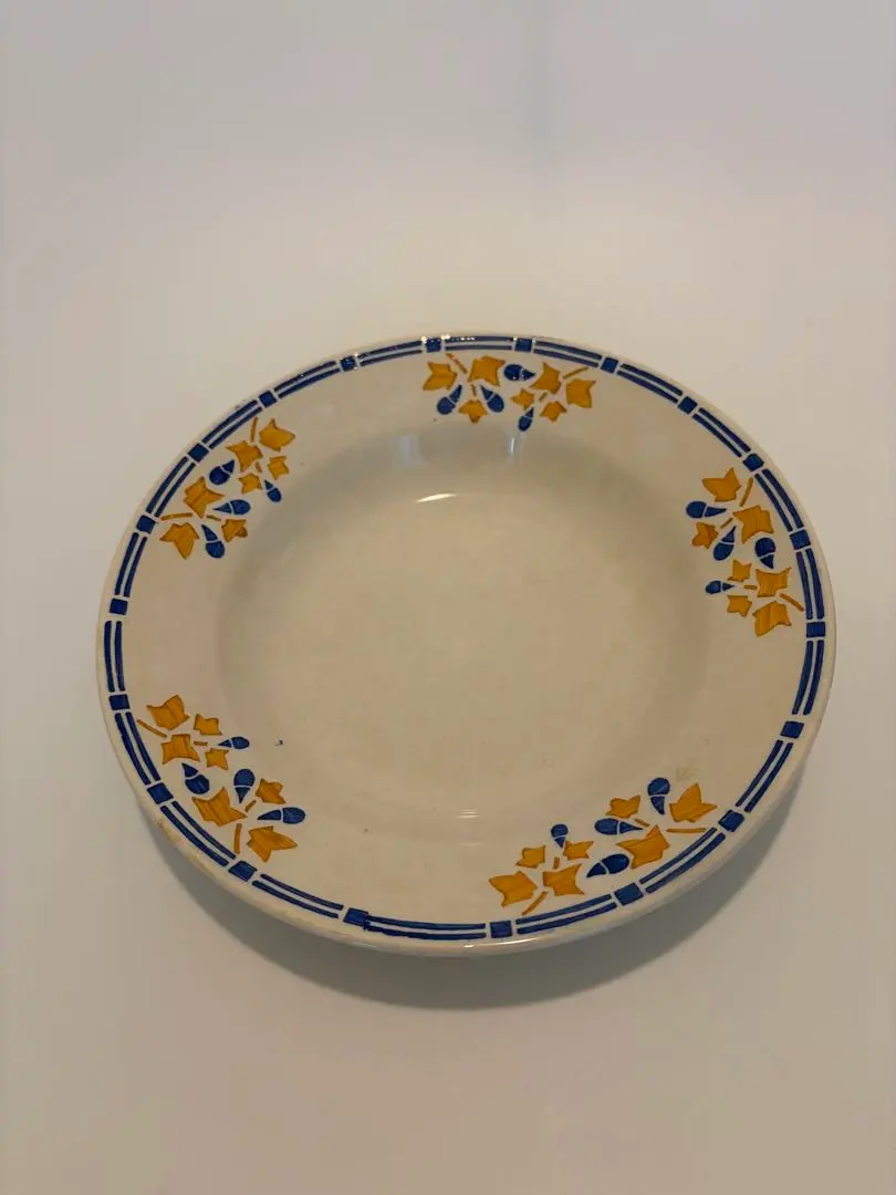 2026年最新】ヤドリギ 皿の人気アイテム - メルカリ