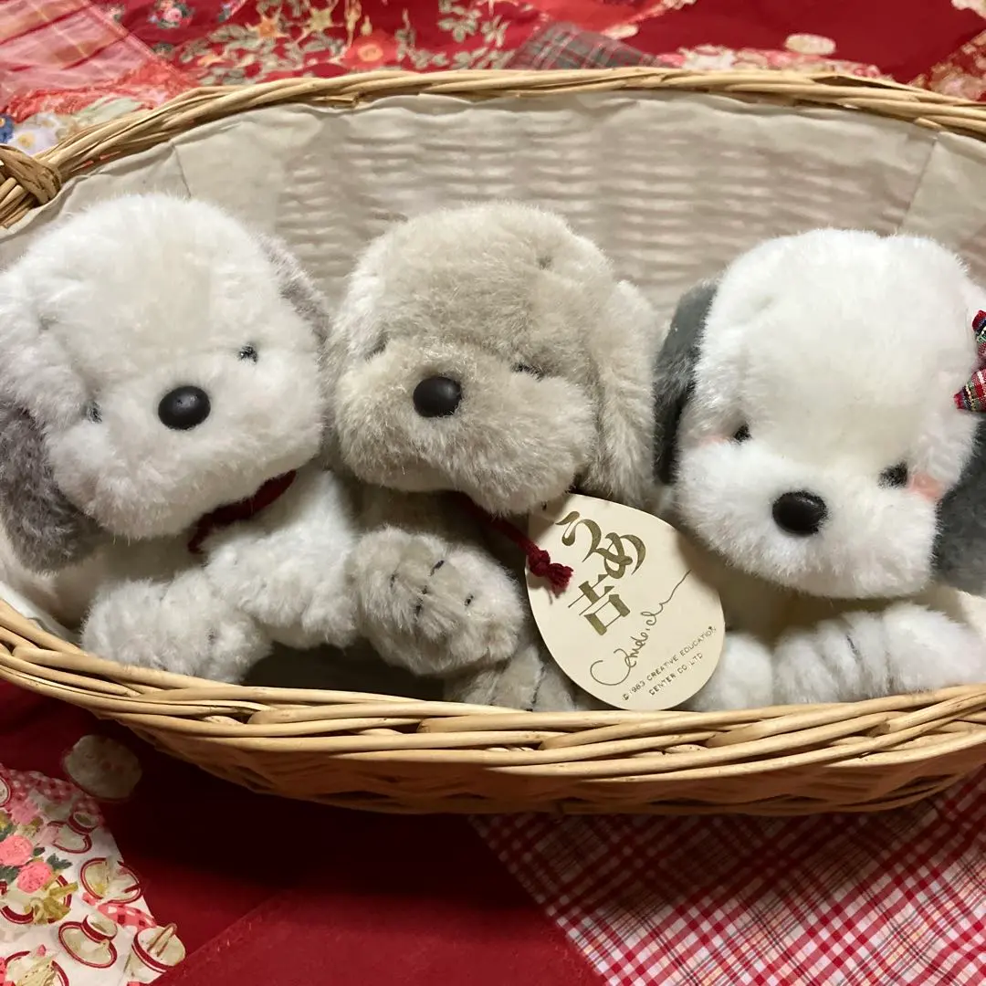 2026年最新】うめ吉 くたくたの人気アイテム - メルカリ