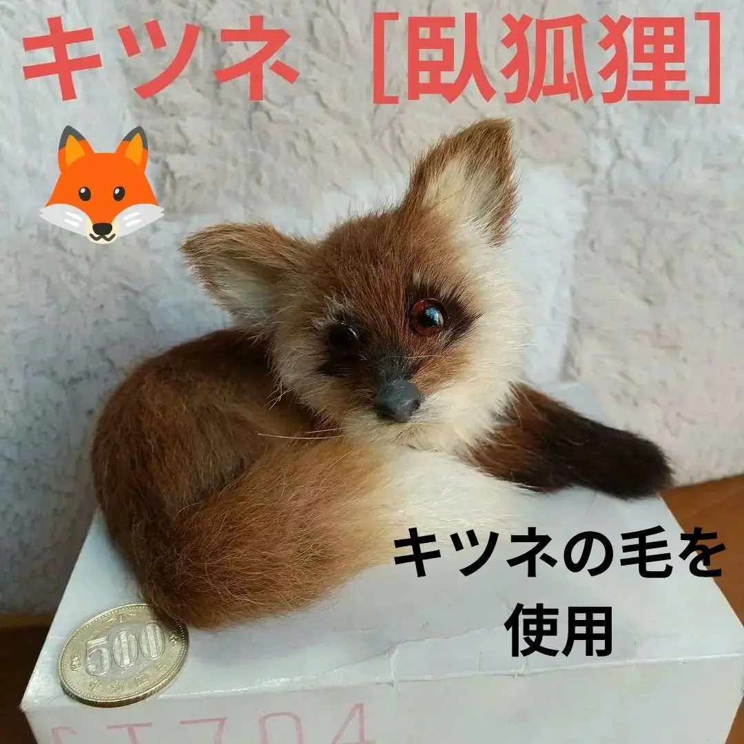 2026年最新】アートドール 狐の人気アイテム - メルカリ